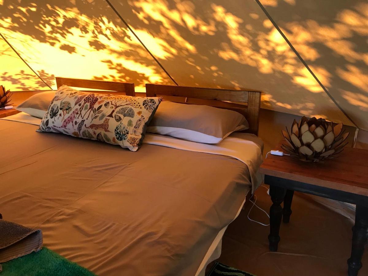 Hluhluwe Bush Camp Glamping Village Eksteriør billede