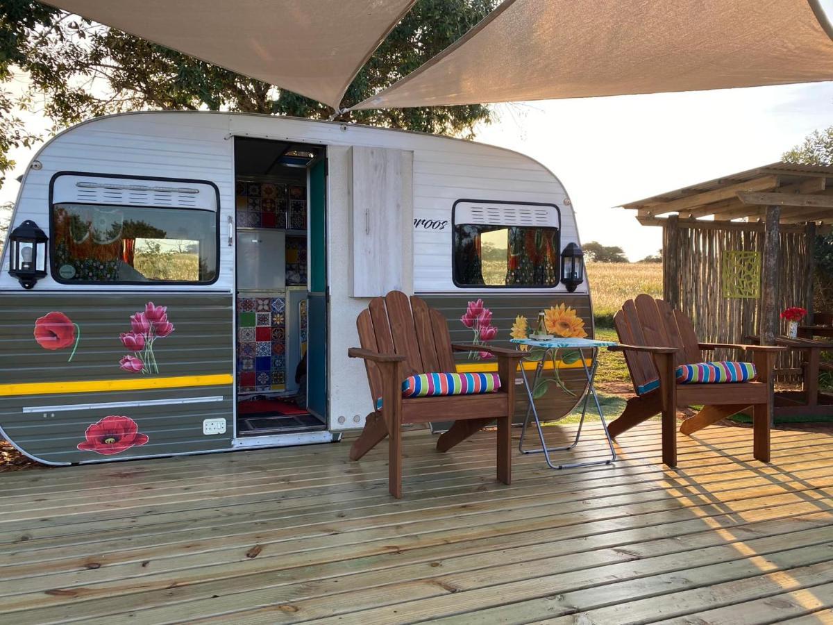 Hluhluwe Bush Camp Glamping Village Eksteriør billede
